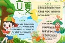 立夏手抄报模板