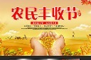 中国农民丰收节主题宣传展板模板