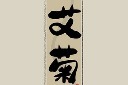 中国国医节草药字体插画模板