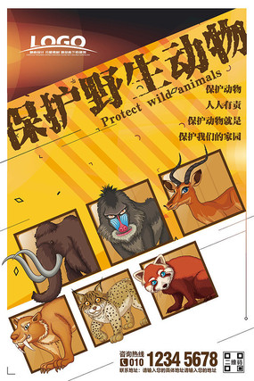 保护野生动物公益宣传海报模板