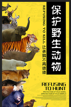 保护野生动物公益海报模板