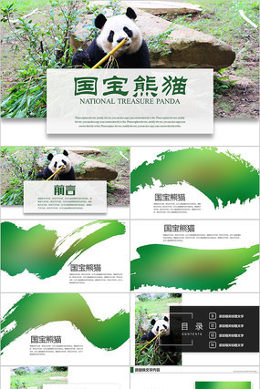 保护动物国宝熊猫ppt模板