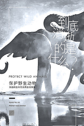 保护野生动物创意海报模板