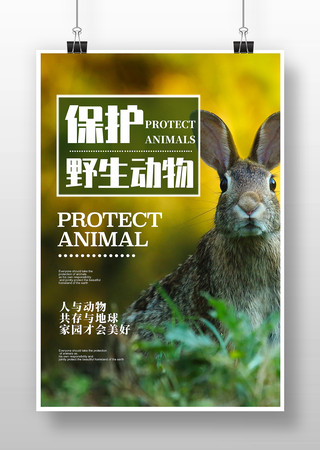 世界动物日宣传海报模板